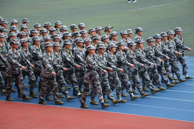 图片6